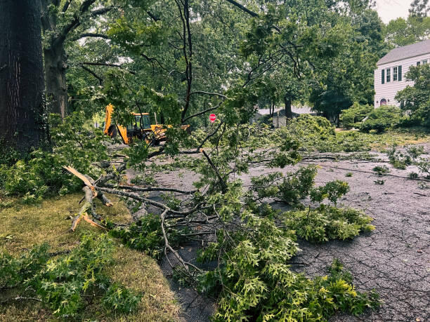 storm clean up storm clean up